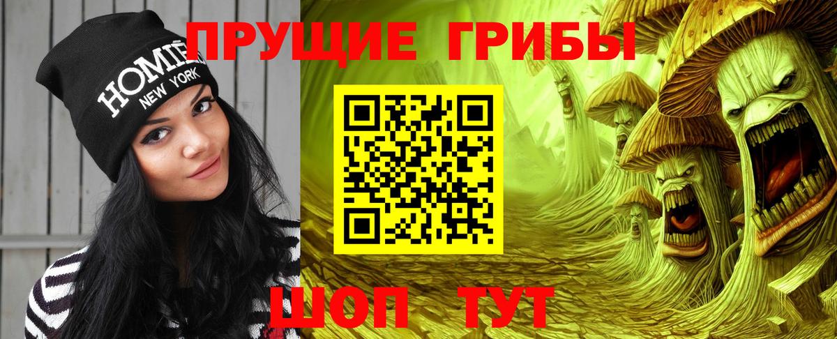 Псилоцибиновые грибы мицелий  Вход с VPN  Псилоцибиновые грибы мухоморы  Губкинский 