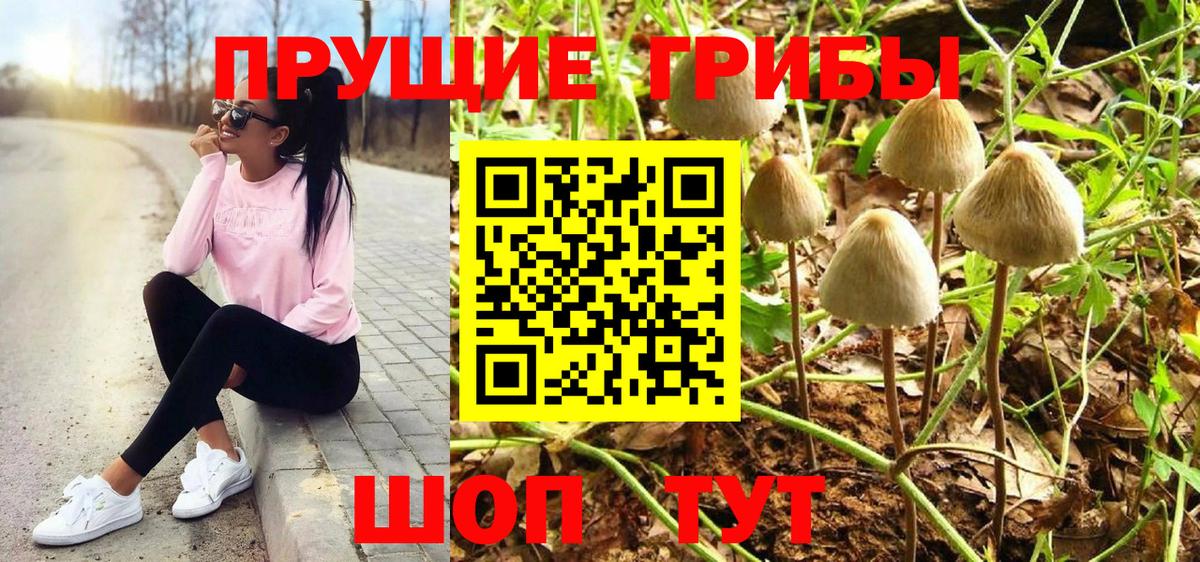 Псилоцибиновые грибы Magic Shrooms Губкинский